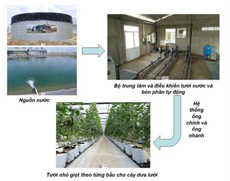 Techmart Công nghệ sinh học 2020: Hệ thống tưới nhỏ giọt Netafim cho sản xuất dưa lưới